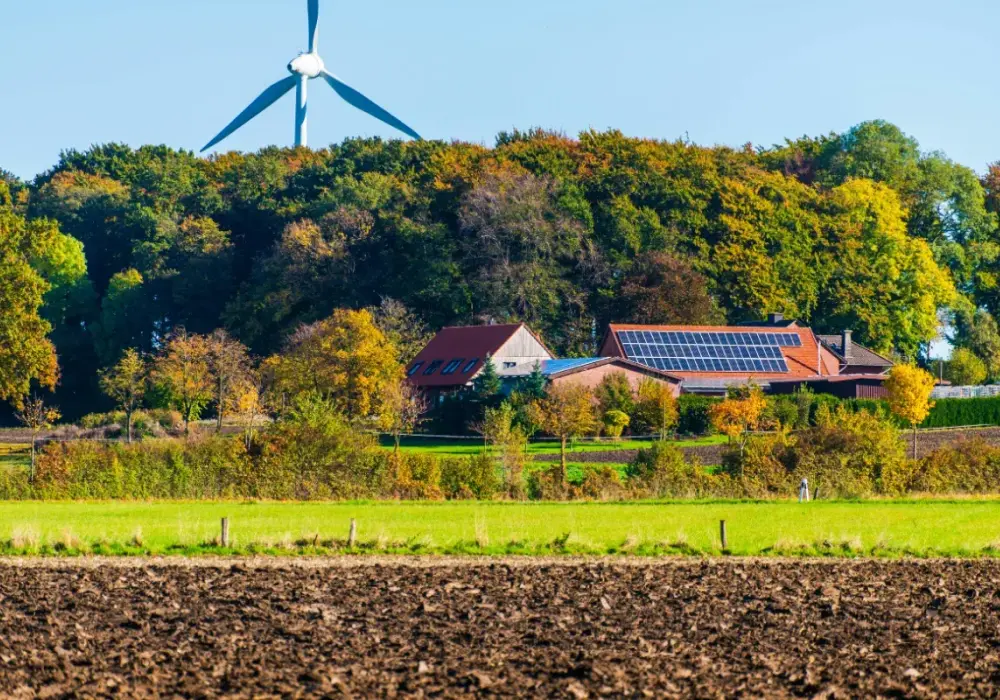 Odnawialne źródła energii - gdzie OZE ma sens w Polsce?