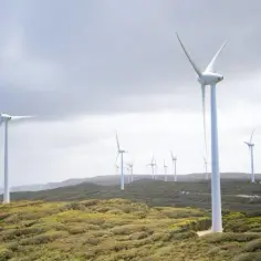 Elektrownie wiatrowe w Polsce - gdzie są i jak wpływają na energię?