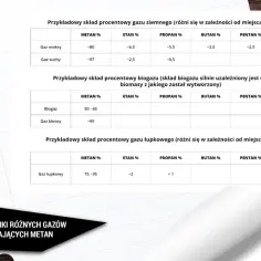 Tabela porównuje skład procentowy różnych gazów, w tym metanu, jako kluczowego składnika gazu ziemnego.