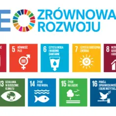 17 celów zrównoważonego rozwoju i ich znaczenie dla przyszłości