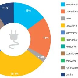 Wykres kołowy pokazuje zużycie energii przez urządzenia domowe, ilustrując, jak nasze wybory wpływają na nieodnawialne źródła energii.