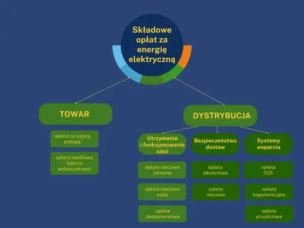 Taryfa C11 dla firmy - Czy jednostrefowa stawka to oszczędność?