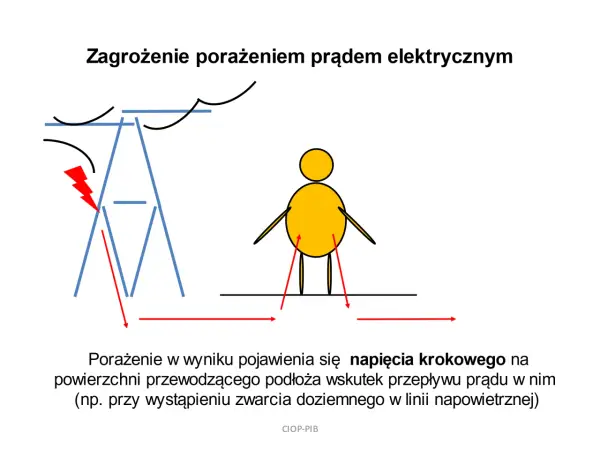 Napięcie krokowe - Jak uniknąć porażenia? Poradnik bezpieczeństwa