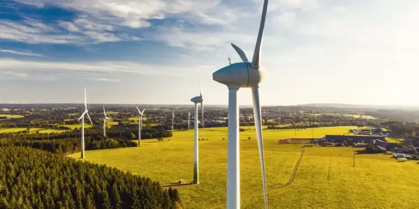 Farmy wiatrowe - technologia, koszty i realna opłacalność