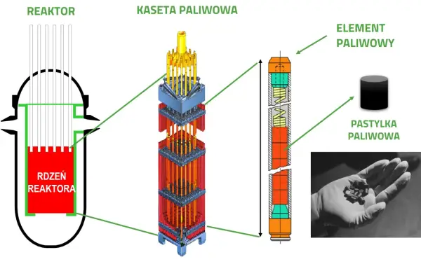 Paliwo jądrowe - Co naprawdę decyduje o atomie?